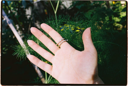 seahorse ring