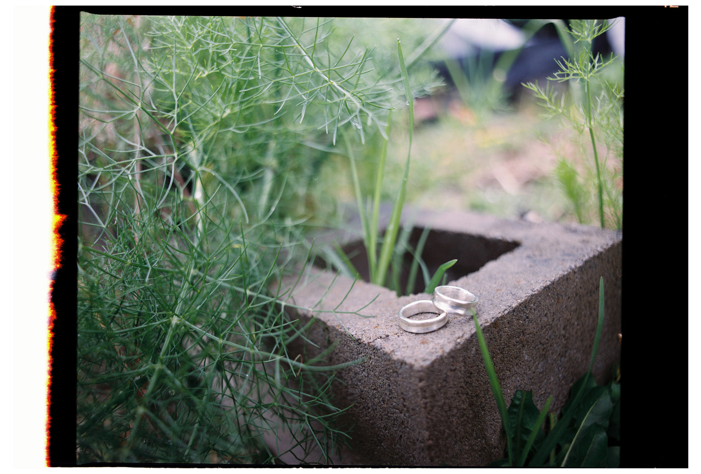 garden path ring